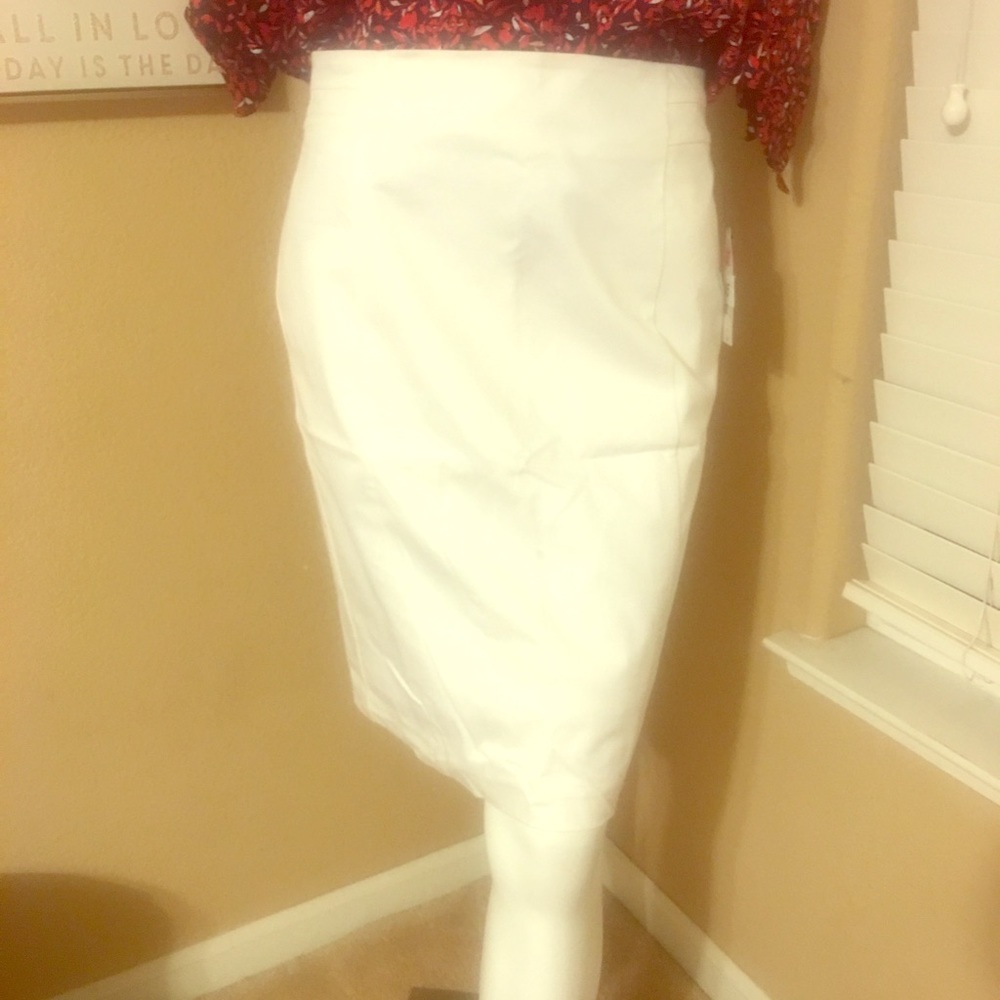 Plain white/ back zip- knee length skirt